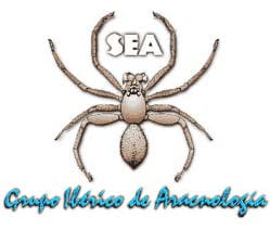 Grupo Ibérico arácnología